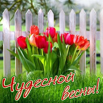 Тепло и улыбки