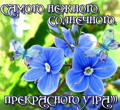 Позитивные эмоции для Открытки с добрым утром весенние