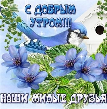 Немного волшебства в ваш день