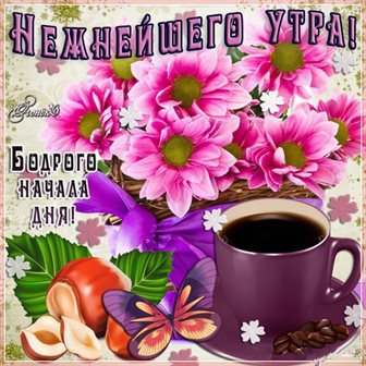 Больше радости в жизни