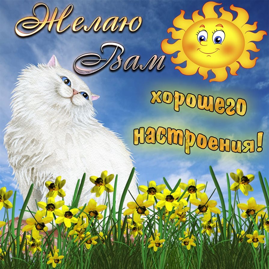 Счастья и удачи