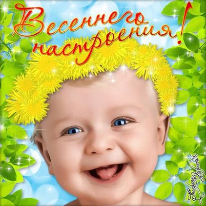 Немного тепла и заботы