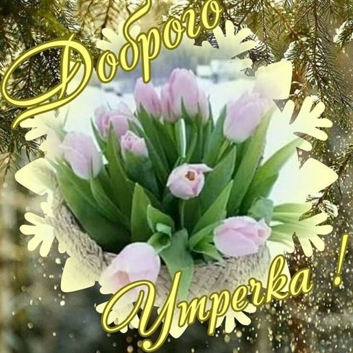 Позитивные эмоции для Открытки с добрым утром весенние