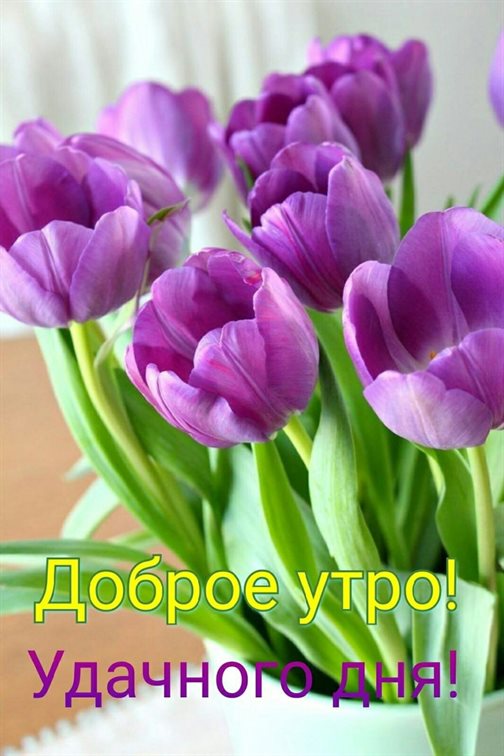 Пусть день будет незабываемым