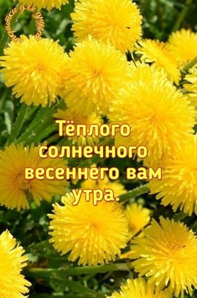 Подарок в виде открытки