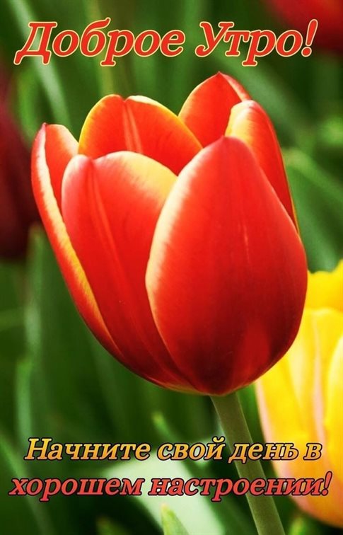 Теплые поздравления