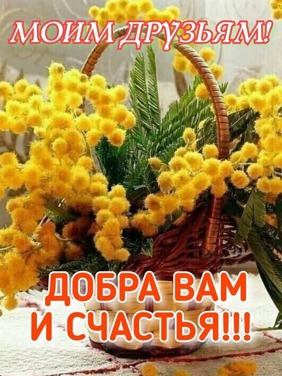 Теплые поздравления