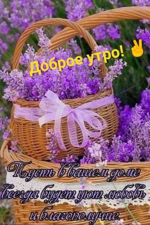 Больше радости в жизни