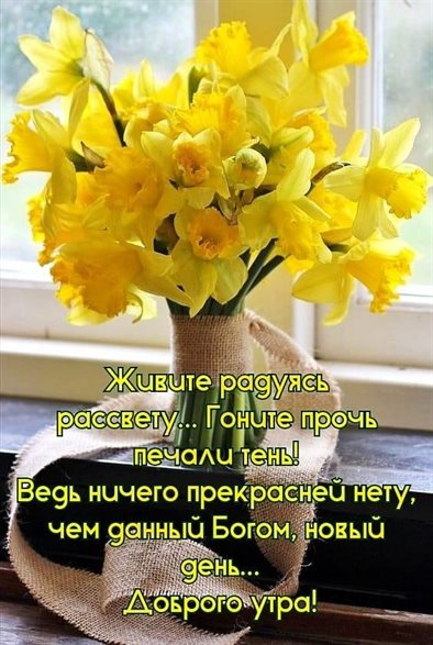 Немного тепла и заботы