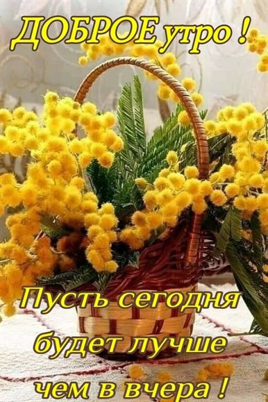 Пусть мечты сбываются