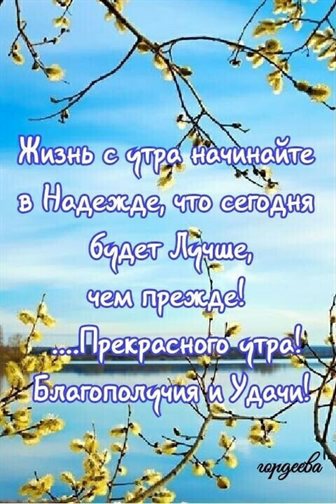 Хорошего настроения сегодня