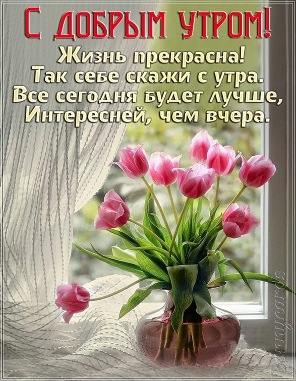 Приятные поздравления