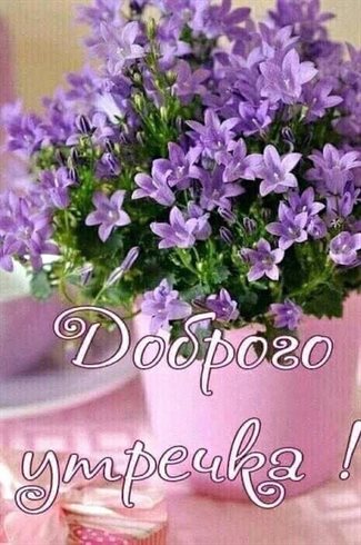 Луч света в ваш день