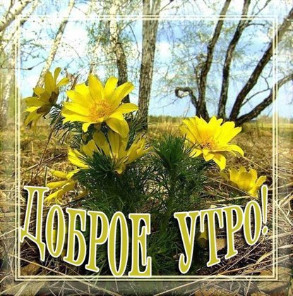 Тепло и улыбки