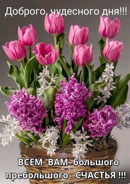 Улыбок, любви и тепла