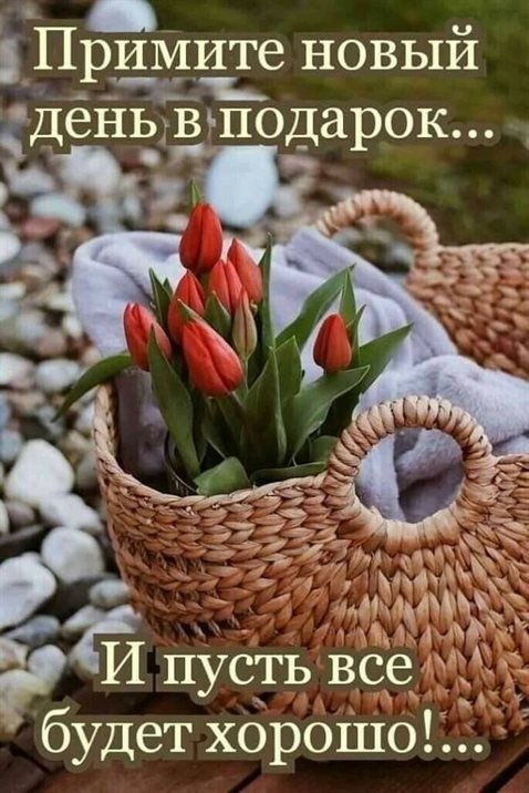 От души: Открытки с добрым мартовским утром