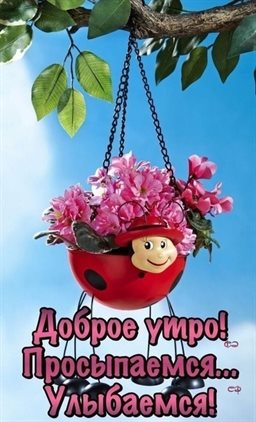 Пусть радость будет с вами