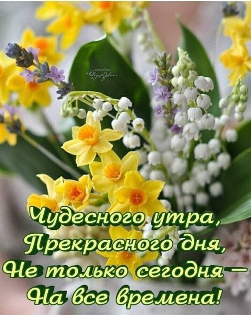 Тепло и улыбки