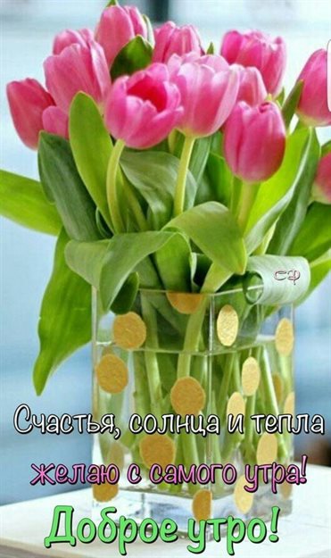 Нежные поздравления для Открытки с добрым мартовским утром