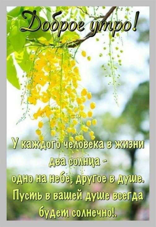 Теплые поздравления