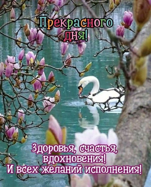 Улыбок, любви и тепла