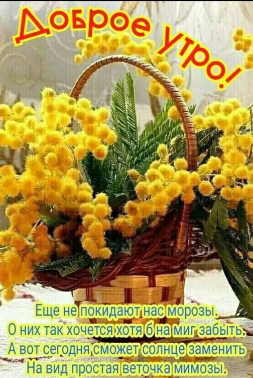 Луч света в ваш день