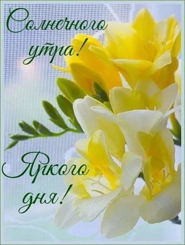 Яркая открытка для вас