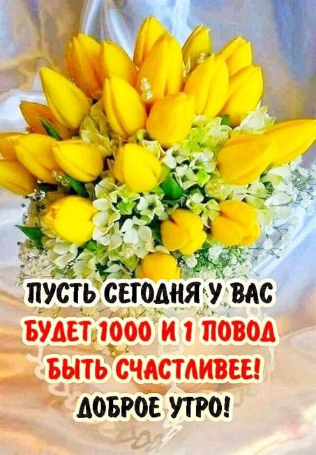 С наилучшими пожеланиями