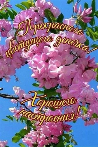 Улыбок, любви и тепла