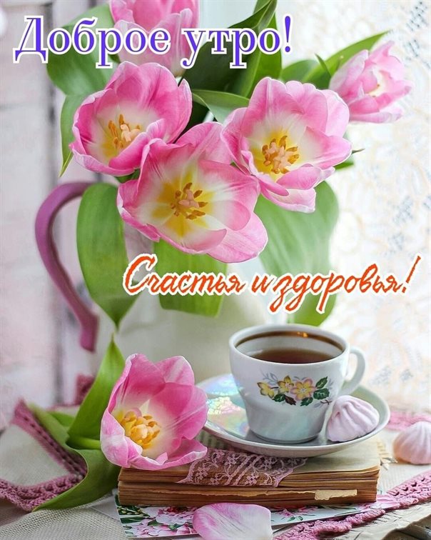 Нежность и внимание