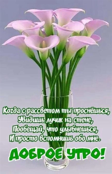 Пусть улыбка не сходит с лица