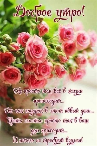 Пусть мечты сбываются