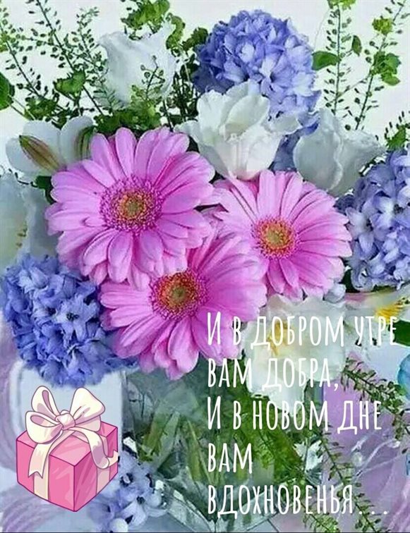 Нежность и внимание