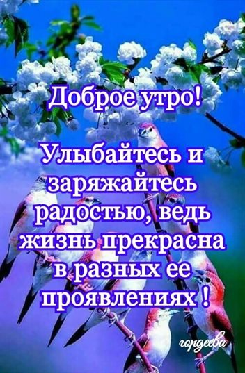 Улыбок, любви и тепла