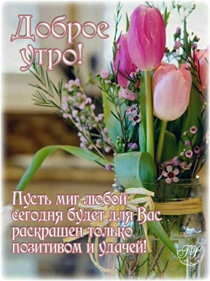 Нежность и внимание