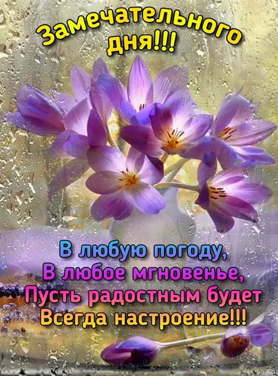 Подарок в виде открытки