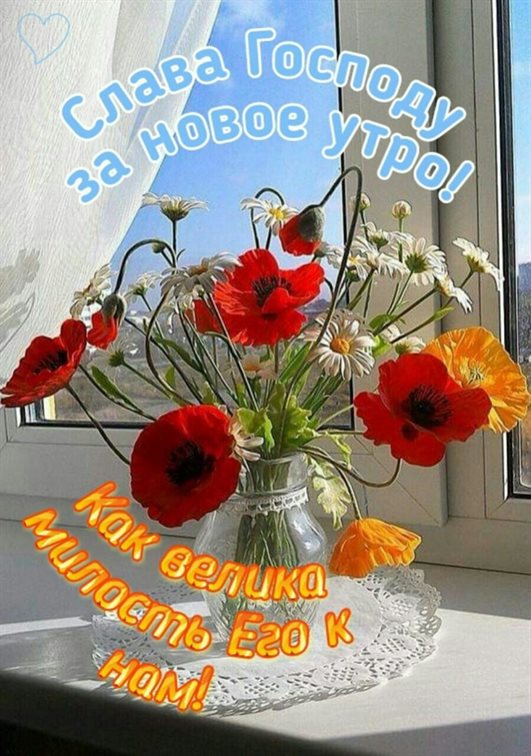 Немного волшебства в ваш день