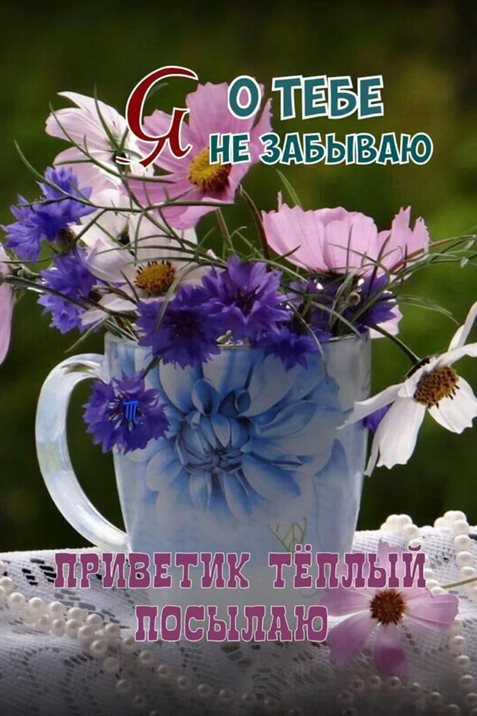 Немного волшебства в ваш день