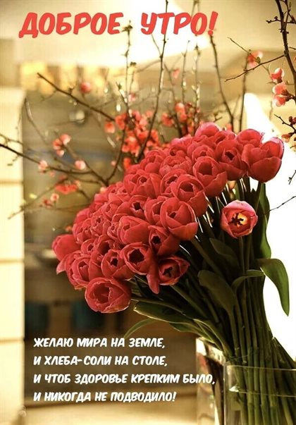 Немного тепла и заботы