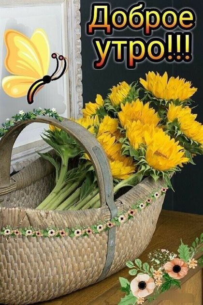 Подарок в виде открытки