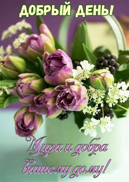 Немного тепла и заботы