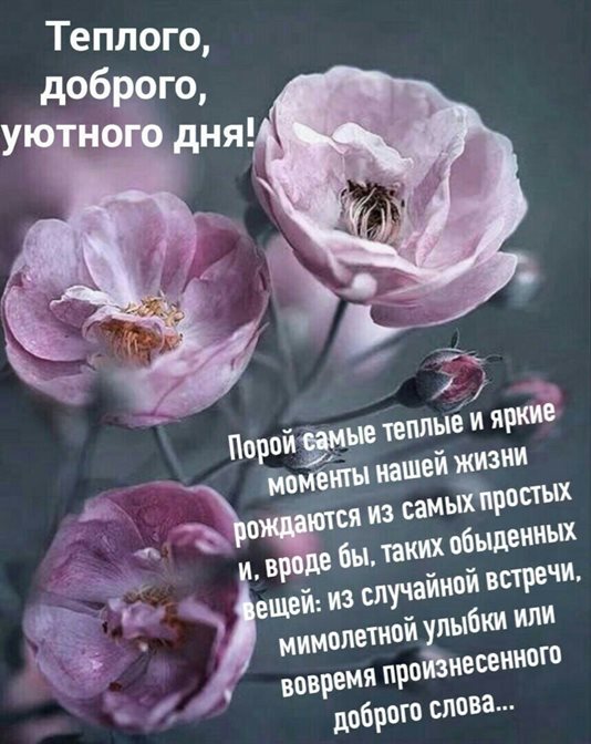 Улыбок, любви и тепла