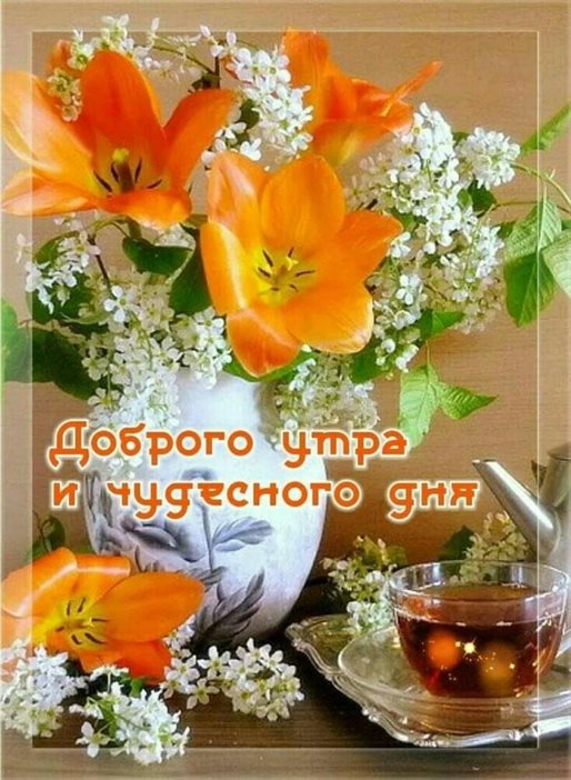 Хорошего настроения сегодня