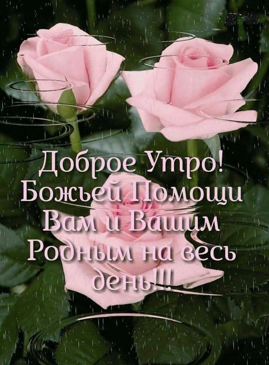 Пусть радость будет с вами