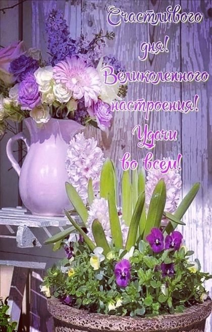 Пусть улыбка не сходит с лица