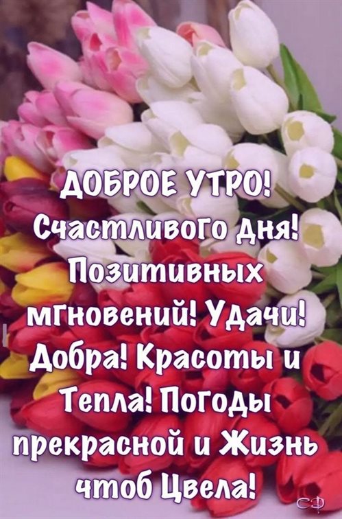 Подарок в виде открытки