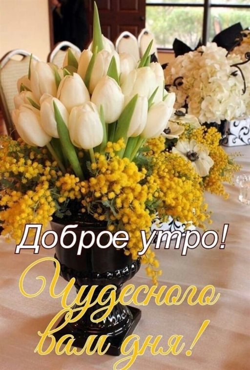 С наилучшими пожеланиями