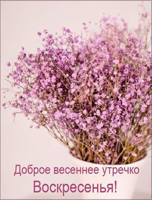 Немного волшебства в ваш день