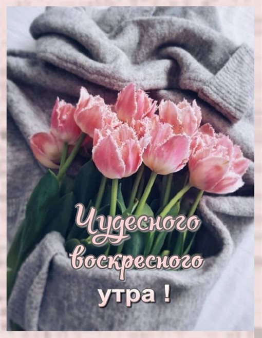 Открытки с добрым утром воскресенья — прекрасный выбор!