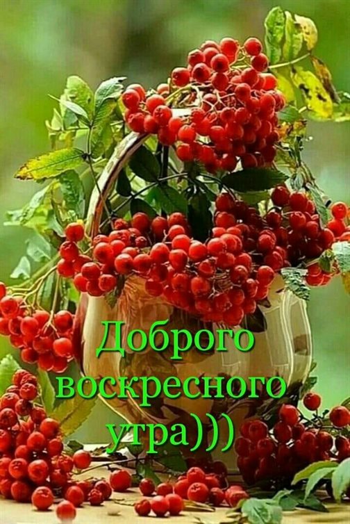 От души: Открытки с добрым утром воскресенья